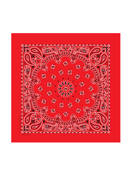 하바행크_ Traditional Paisleys [Red]