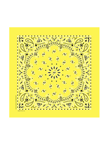 하바행크_ Traditional Paisleys [Yellow]