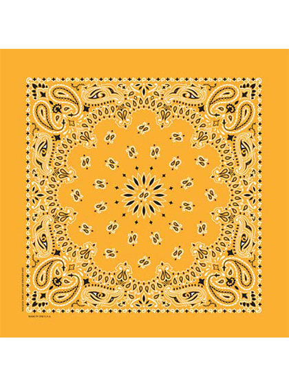 하바행크_ Traditional Paisleys [Gold]