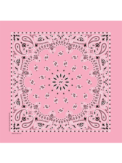 하바행크_ Traditional Paisleys [Light Pink]